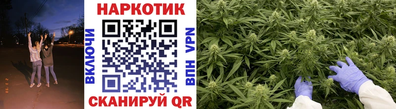 Купить закладку Бошки Шишки  А ПВП  Бутират  Меф  LSD-25  ГАШИШ  Тайга