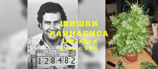 стафф Семилуки