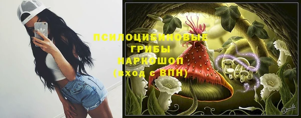 эйфоретик Рославль