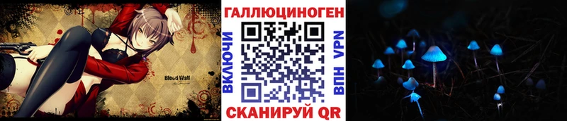 Купить  Тайга  Псилоцибиновые грибы Psilocybe