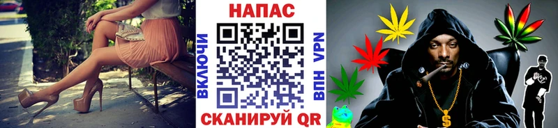 Купить где  Тайга  МАРИХУАНА сатива 